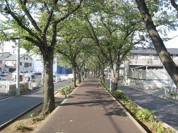 【周辺】　別所沼公園から南に続く約2kmの散歩道です。春は桜、梅雨時はアジサイが彩り、秋には落葉を踏みしめて歩く散歩も格別です。